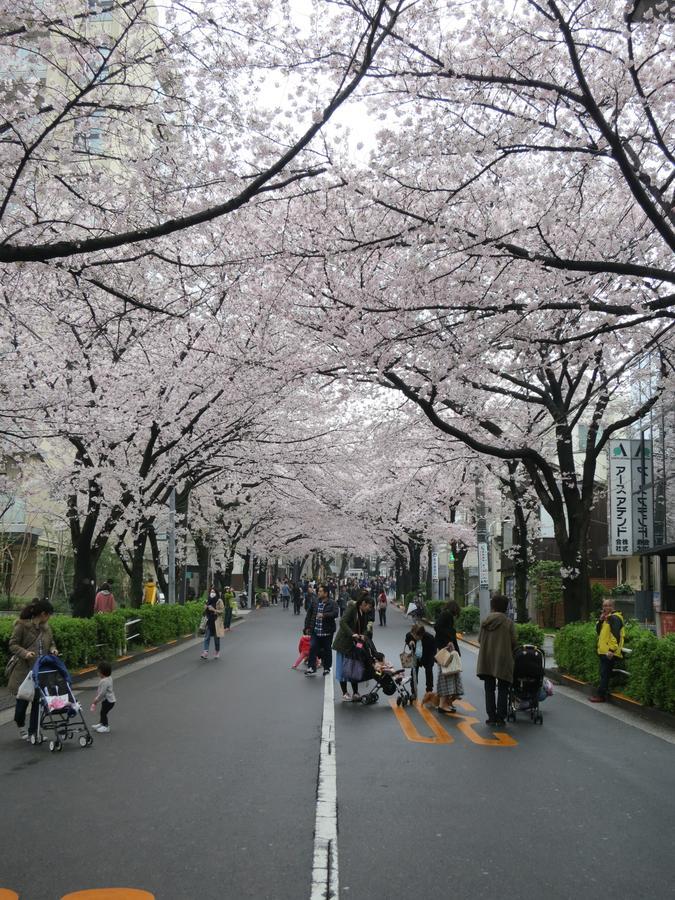 No Borders Hostel Tokyo Dış mekan fotoğraf